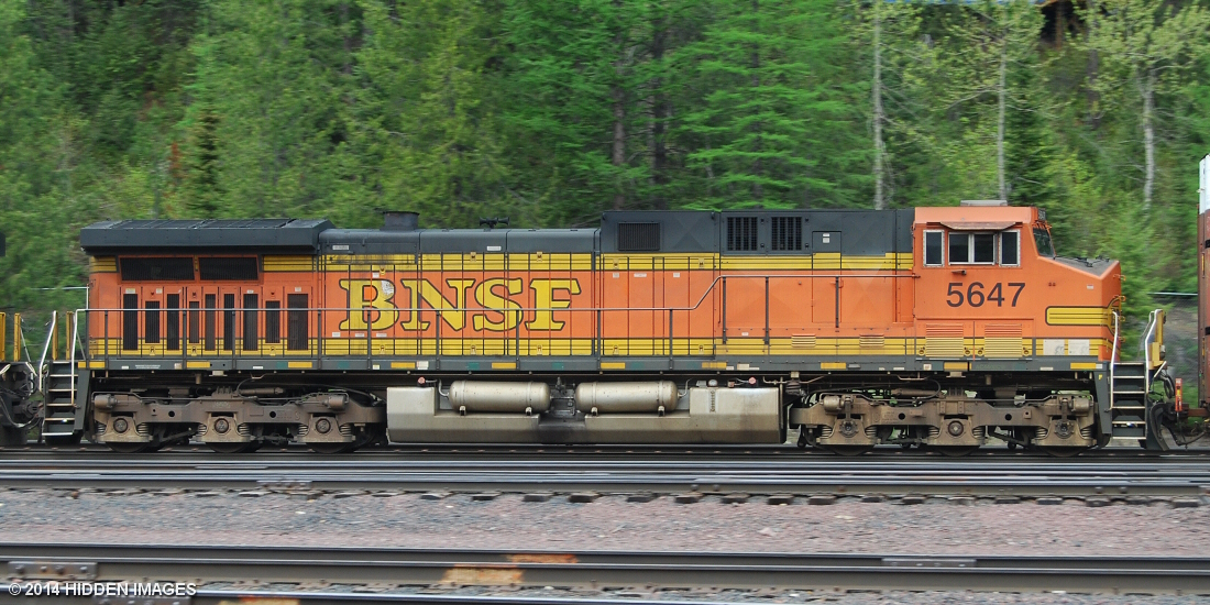 photo: large/BNSF5647-20130518-40472.jpg